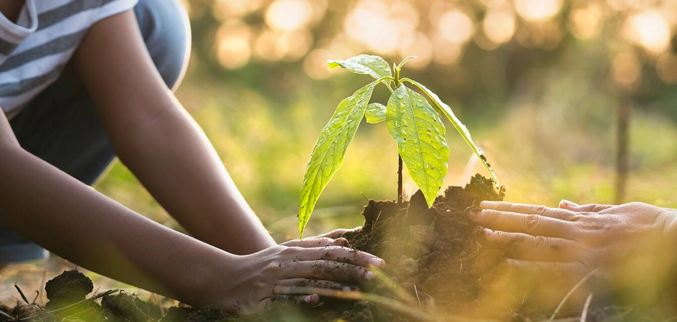 news-azienda-che-rispetta-lambiente news-azienda-che-rispetta-lambiente