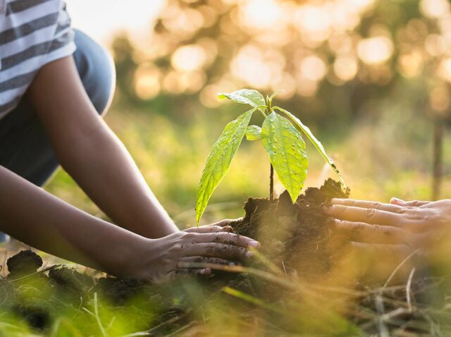 news-azienda-che-rispetta-lambiente